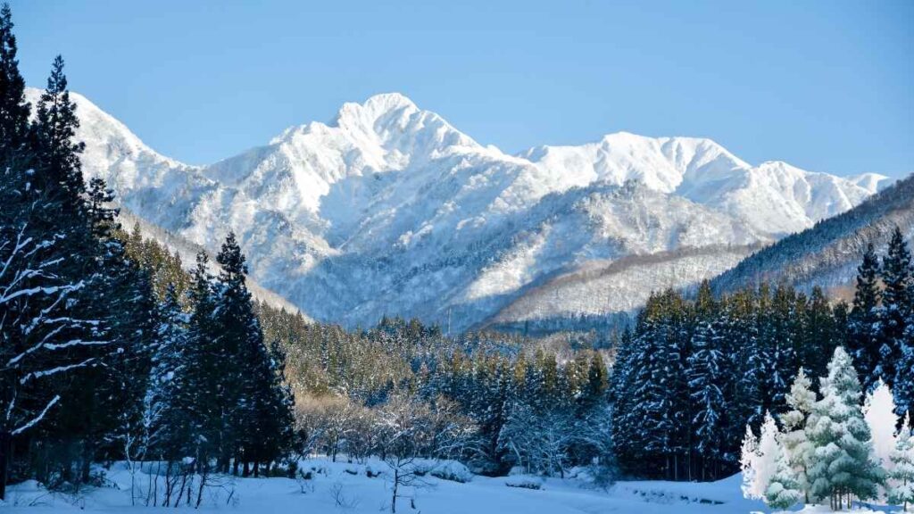 हिमालयी राज्यों में बर्फबारी से पूरे उत्तर भारत में शीतलहर तेज हो गई है