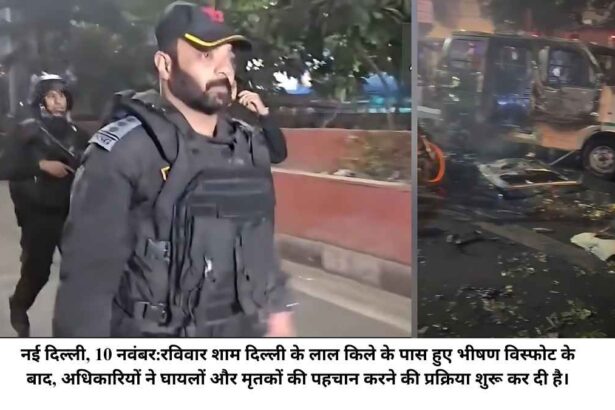 दिल्ली में लाल किले के पास विस्फोट: कार मालिक की पहचान हुई, एनएसजी और एनआईए ने पूरी जांच शुरू की
