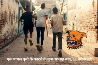 औरैया में हादसा: टीकाकरण के बावजूद कुत्ते के काटने से छह साल के बच्चे की मौत