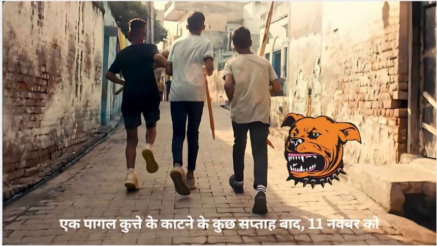 औरैया में हादसा: टीकाकरण के बावजूद कुत्ते के काटने से छह साल के बच्चे की मौत