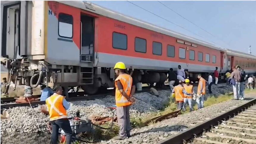 होजाई में शुरुआती जानकारी के अनुसार 6 से 8 जंगली हाथियों की मौत हो गई है।