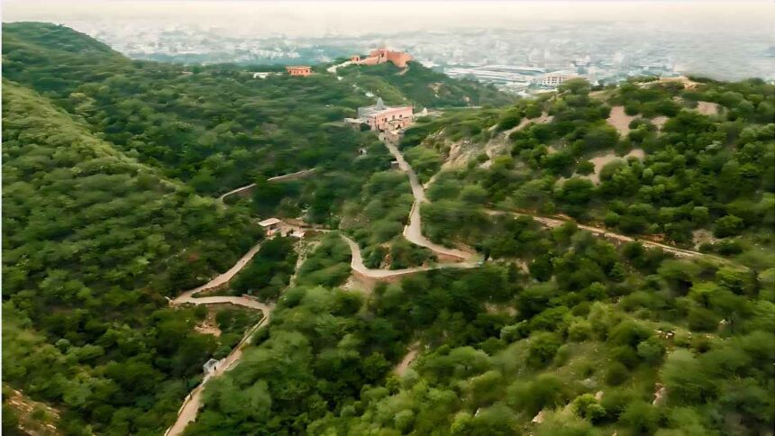 मजबूत #SaveAravalli आंदोलन