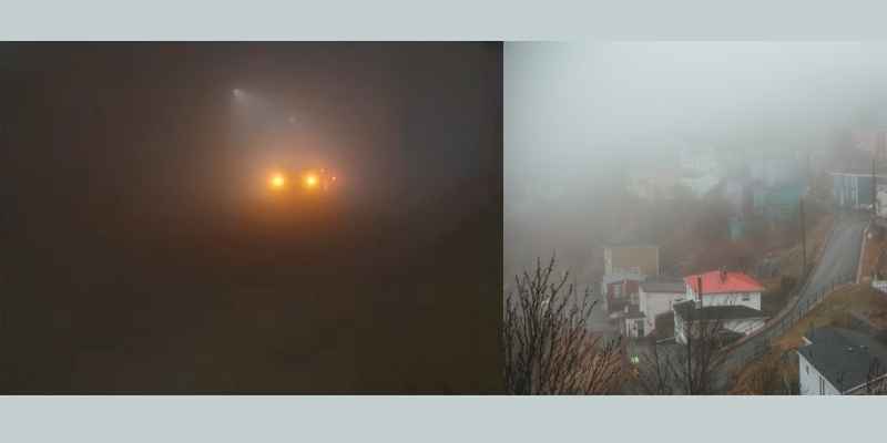 फरवरी में असामान्य रूप से तेज़ सर्दी का मौसम