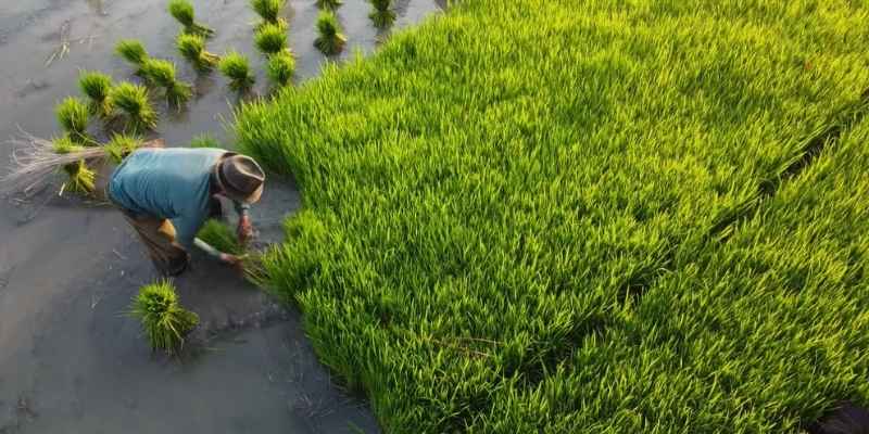 पीएम किसान सम्मान निधि की 22वीं किस्त 2026